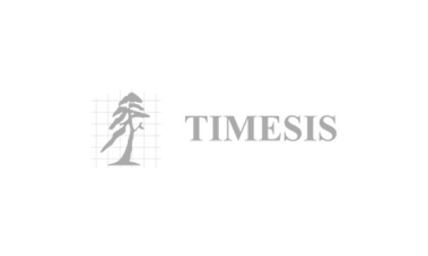 Timesis srl 